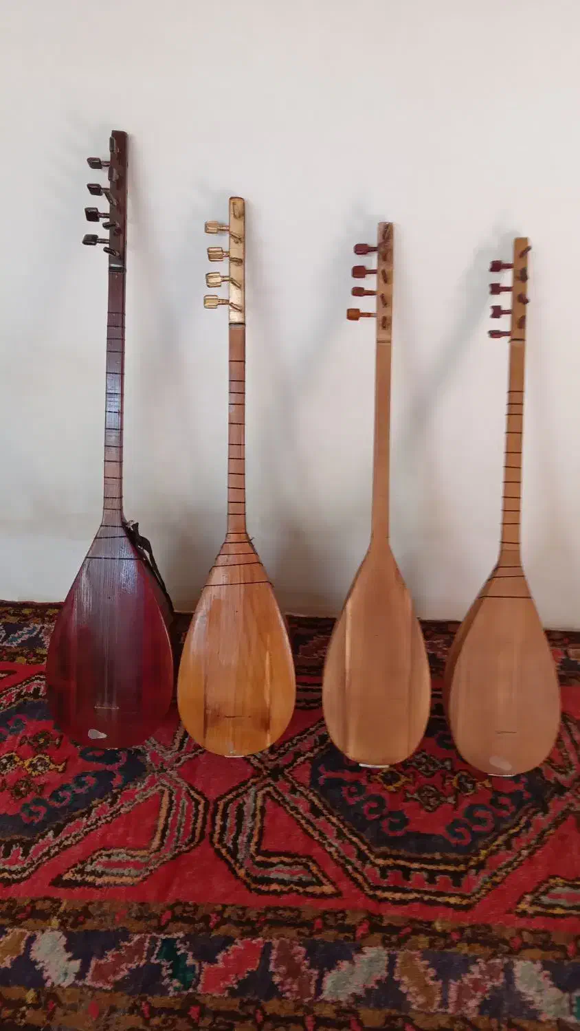 ساز قوپوز|سازهای سنتی|اهر, |دیوار