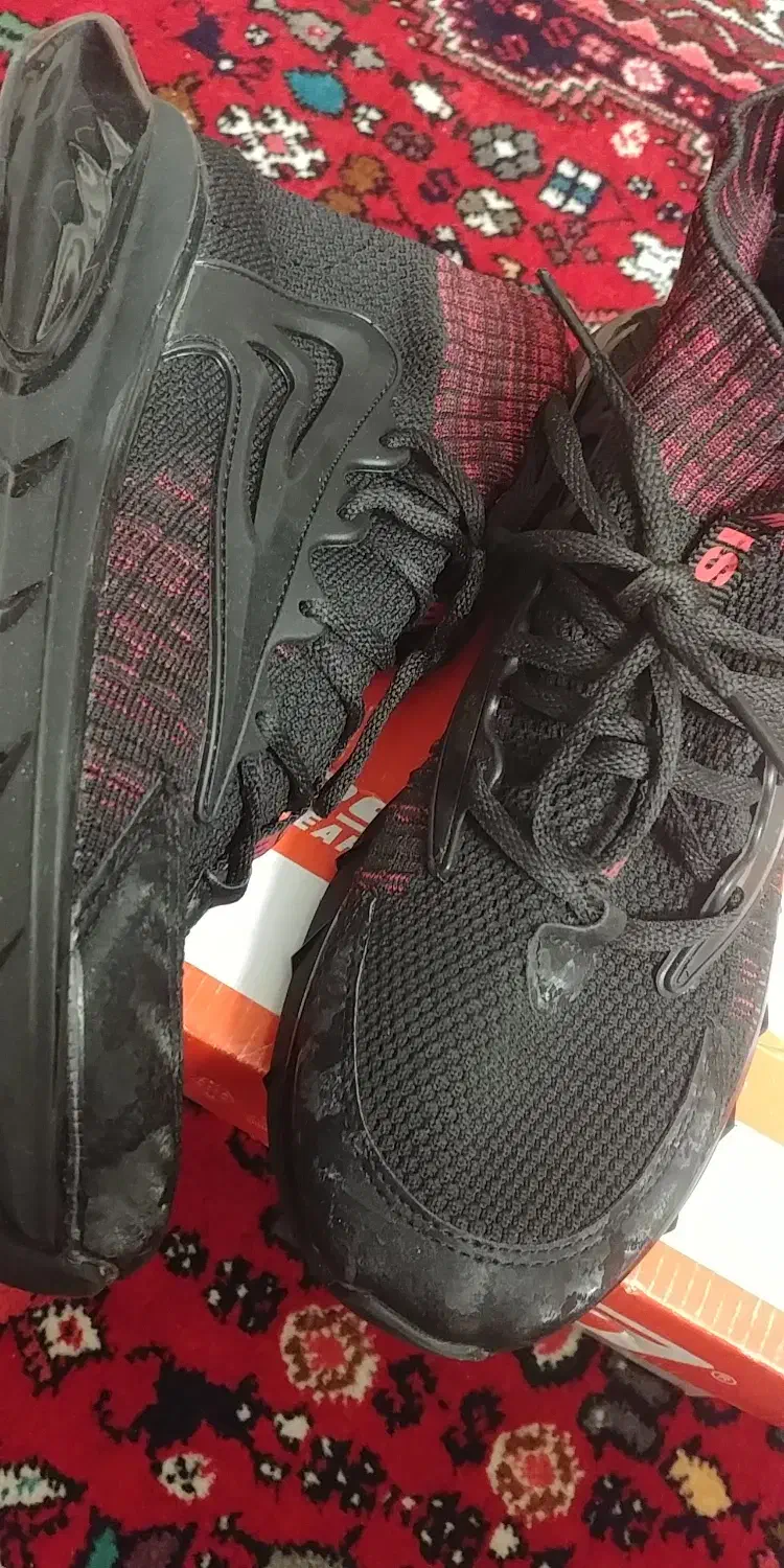 کفش اسپورت|کیف، کفش، کمربند|آباده, |دیوار