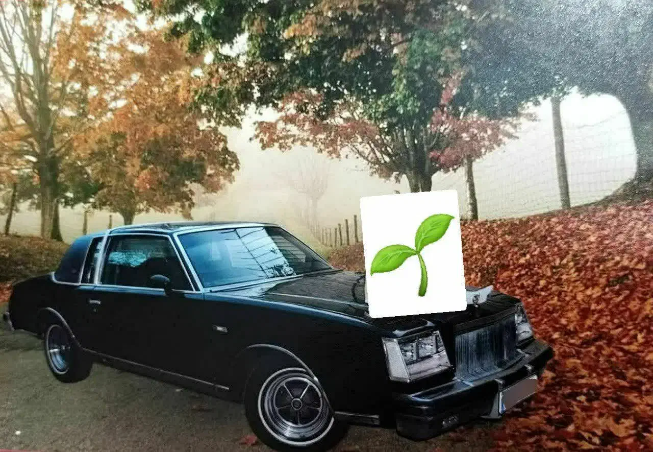 بیوک رگال کوپه|خودرو کلاسیک|مشهد, احمدآباد|دیوار