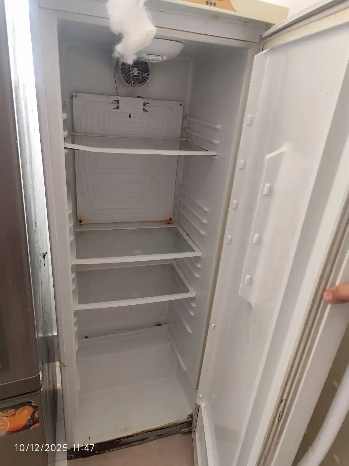 دو عدد یخچال سالم وعالی|یخچال و فریزر|شیروان (خراسان), |دیوار