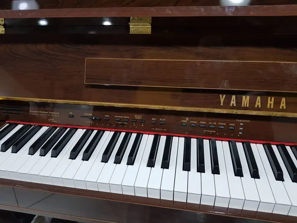 پیانو آکوئستیک|پیانو، کیبورد، آکاردئون|شیراز, پارک آزادی|دیوار