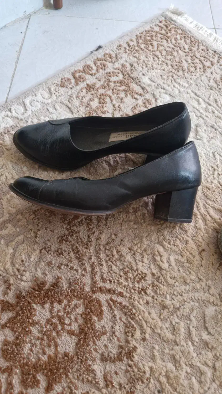 کفش|کیف، کفش، کمربند|بیرجند, |دیوار