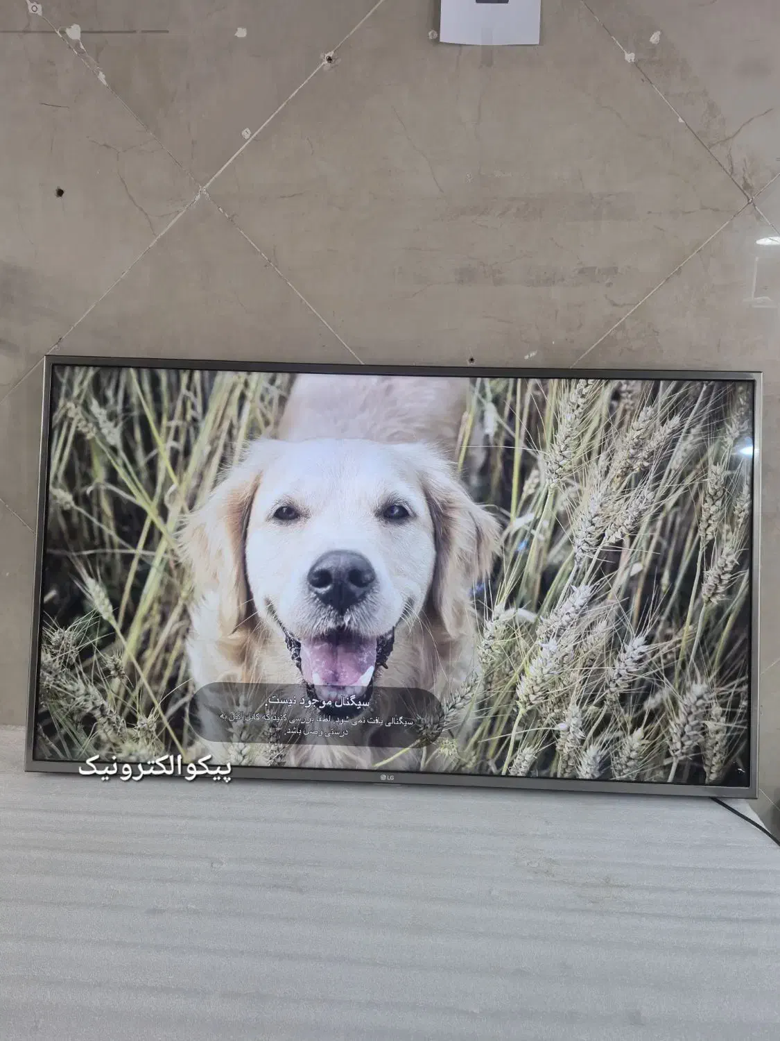 تعمیر تخصصی تلویزیون و اسپیکر|خدمات پیشه و مهارت|اسلام‌شهر, شهرک مفیدی|دیوار