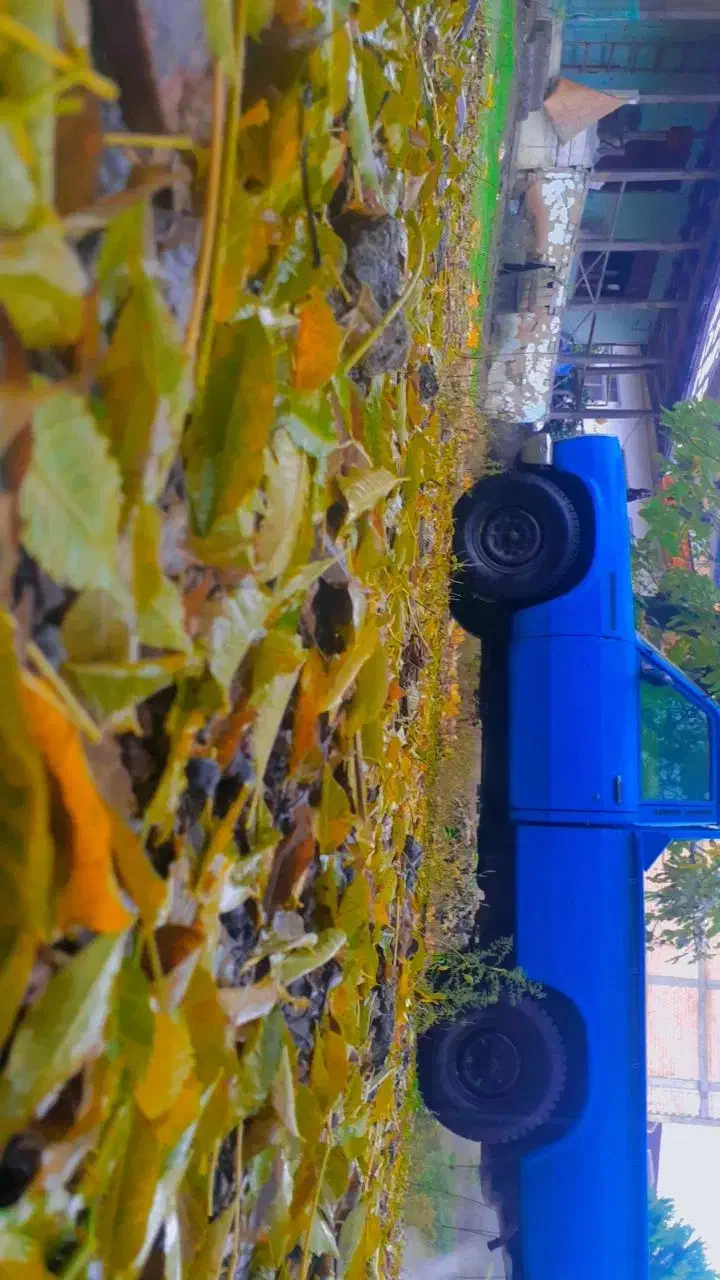 نیسان مدل ۸۷|خودرو سواری و وانت|تالش, هشتپر|دیوار