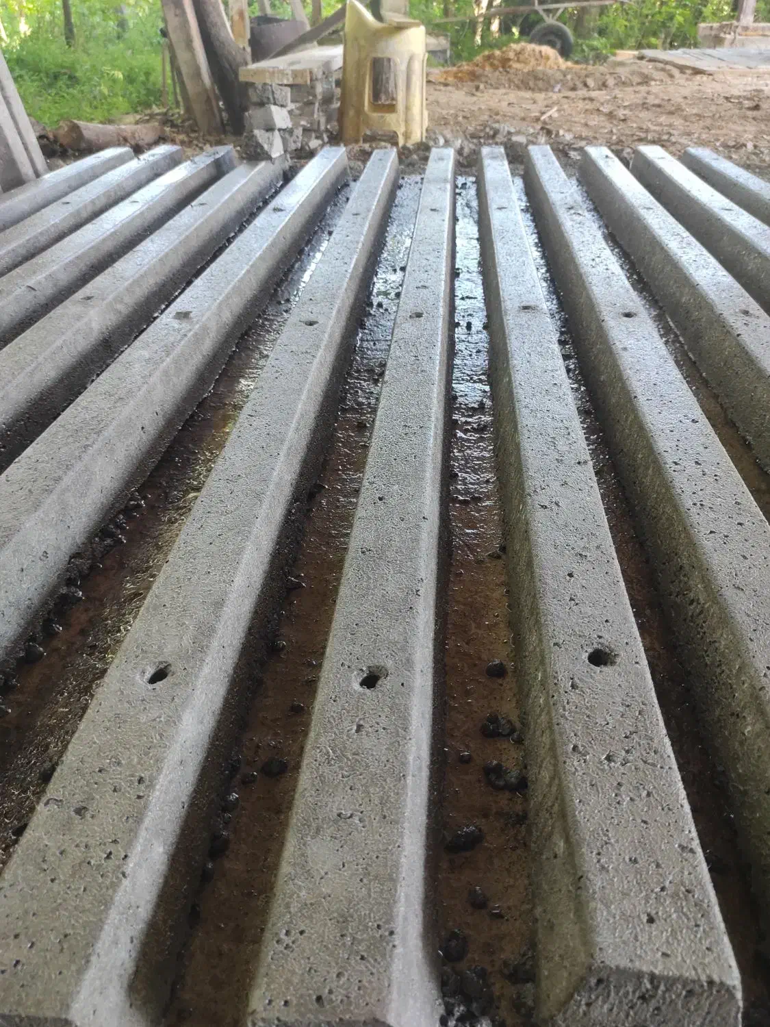 استخدام کارگر ساده|استخدام صنعتی، فنی، مهندسی|سیاهکل, |دیوار