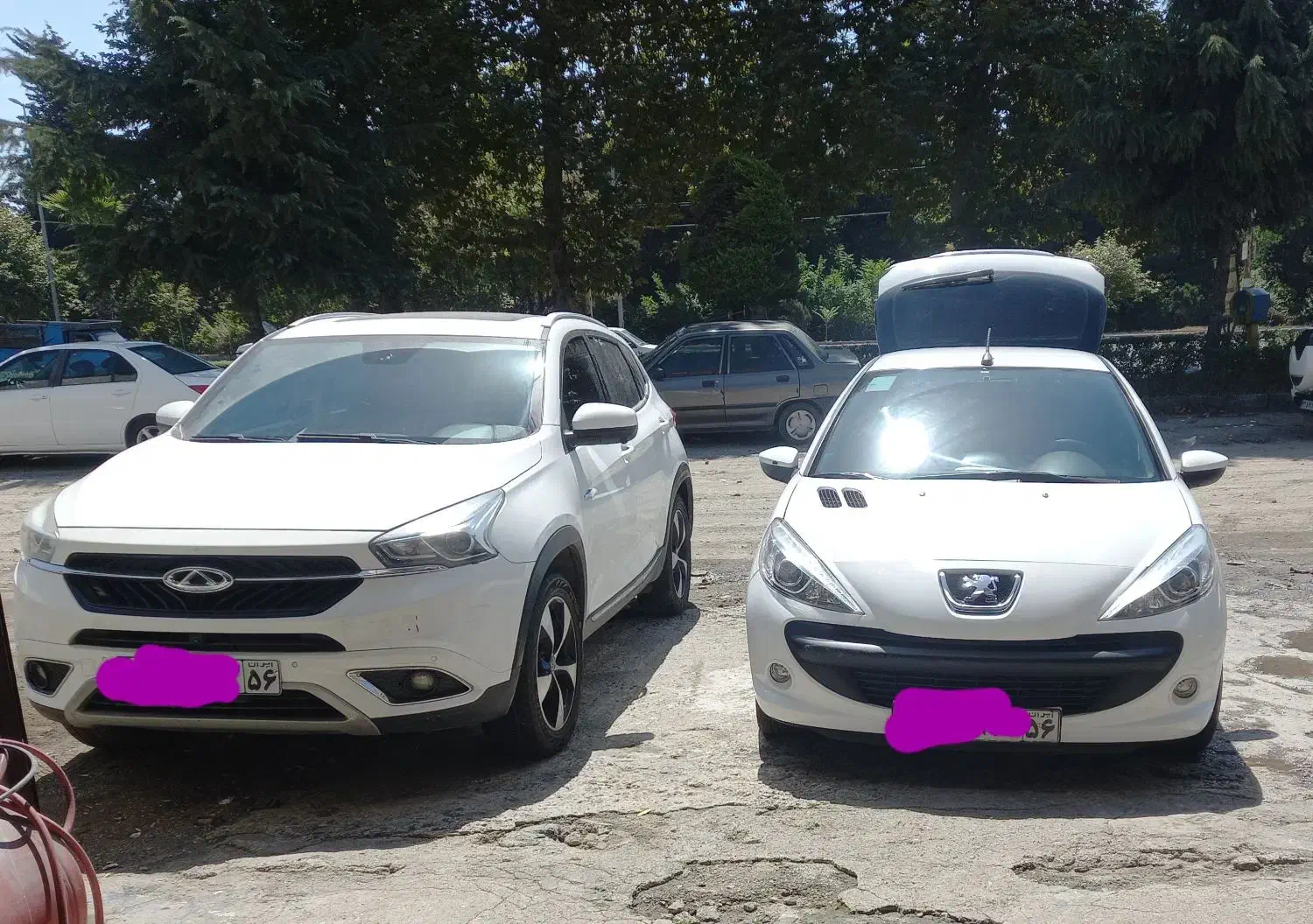 پولیش حرفه ایی و واکس تخصصی|خدمات موتور و ماشین|آستارا, |دیوار