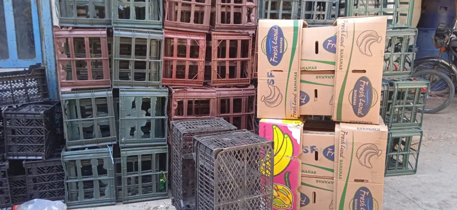 سبد کاهو ، کارتن موزی|فروشگاه و مغازه|دزفول, |دیوار