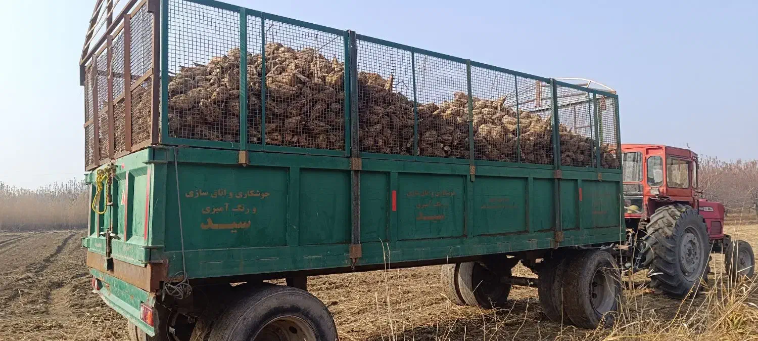 تریلی 8چرخ ترمز دار|ماشین‌آلات صنعتی|نقده, |دیوار