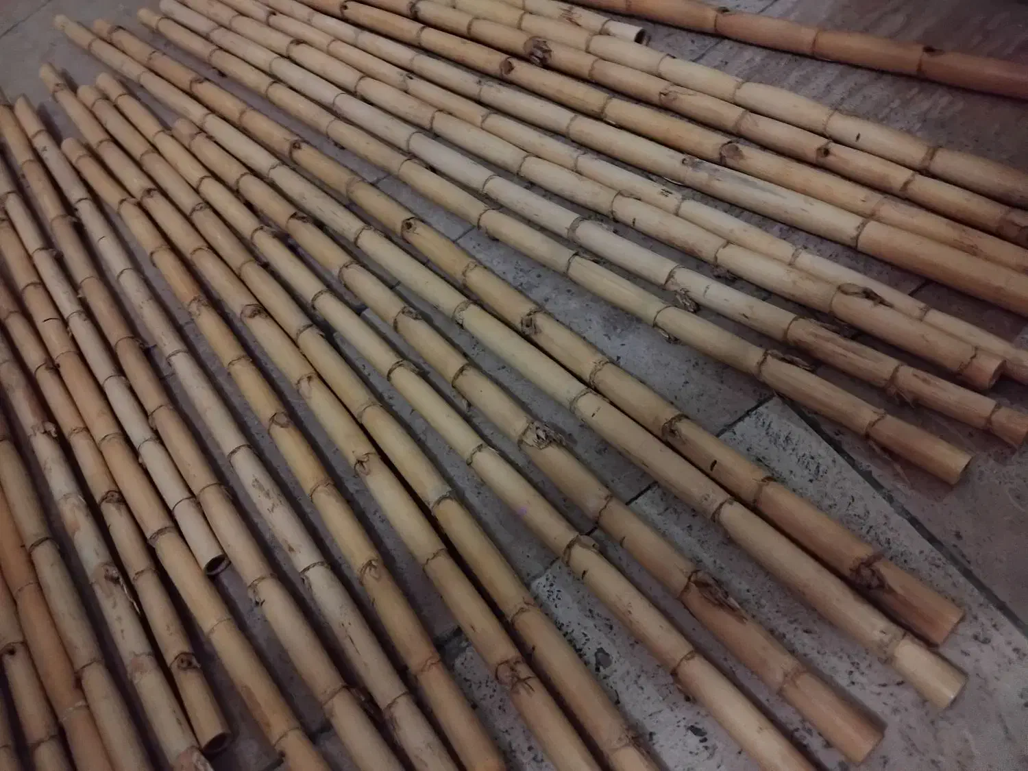 نی خام|سازهای بادی|تهران, زهتابی|دیوار