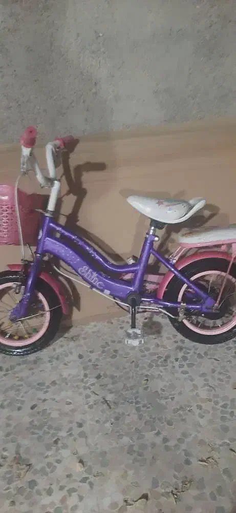 دوچرخه|دوچرخه، اسکیت، اسکوتر|بندر کنگان, |دیوار