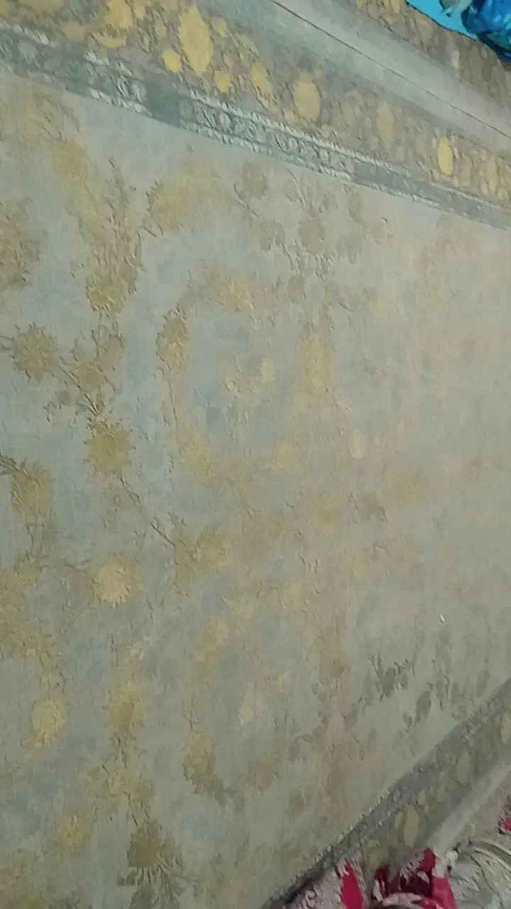 یک جفت فرش نو|فرش|زاهدان, |دیوار