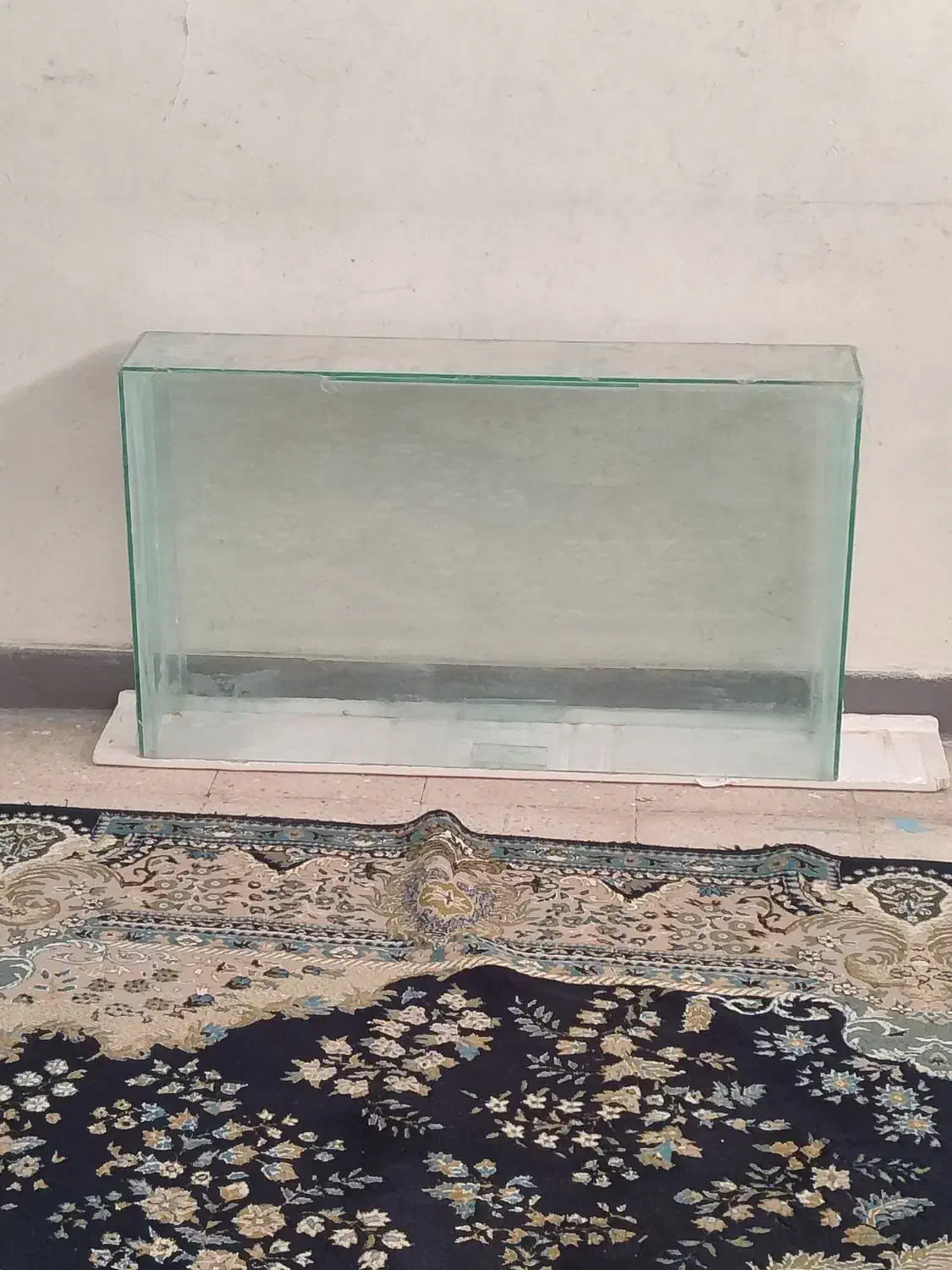 اکواریوم|ماهی|مسجد سلیمان, |دیوار