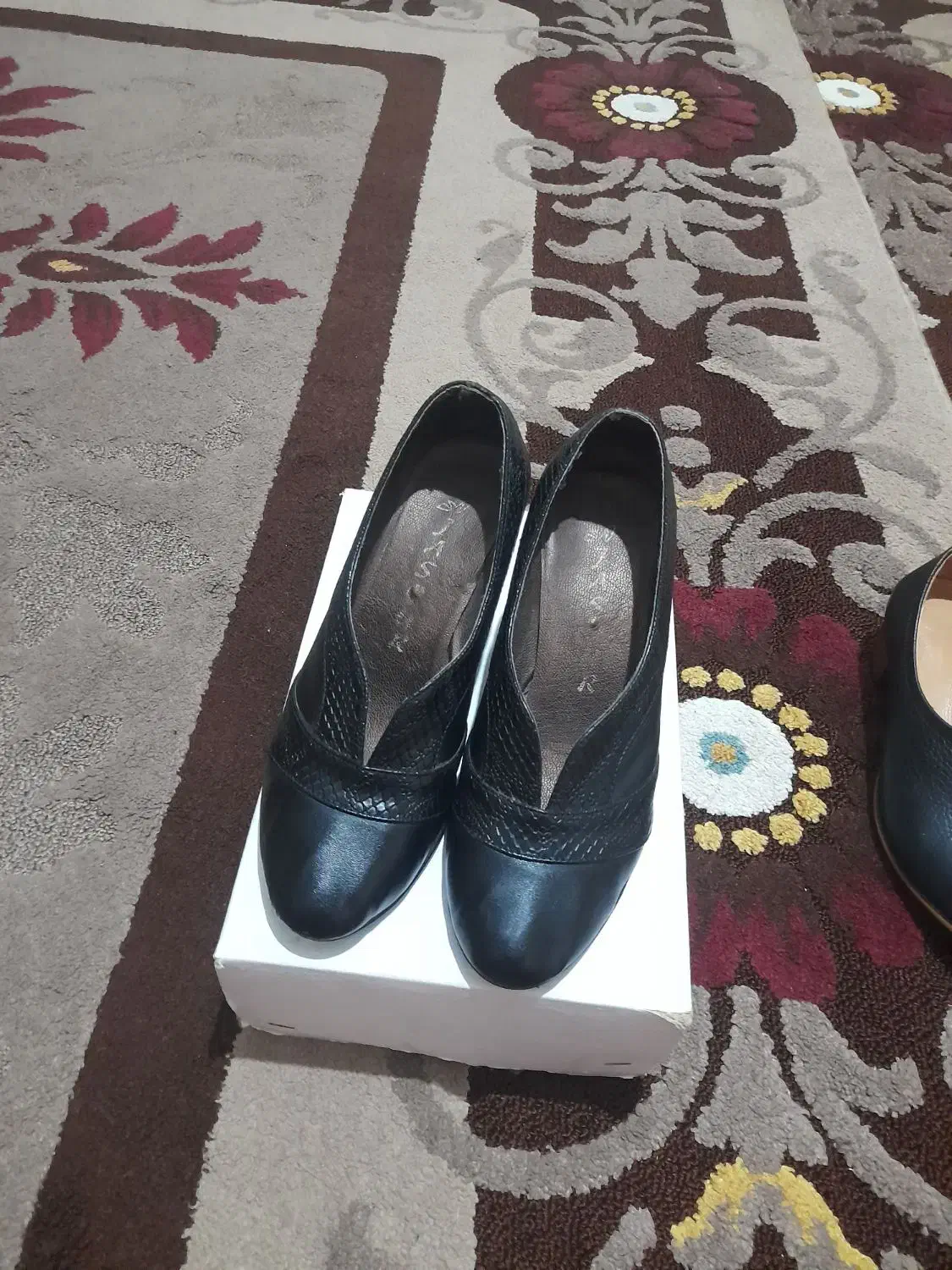 کفش مجلسی|کیف، کفش، کمربند|ایجرود, |دیوار