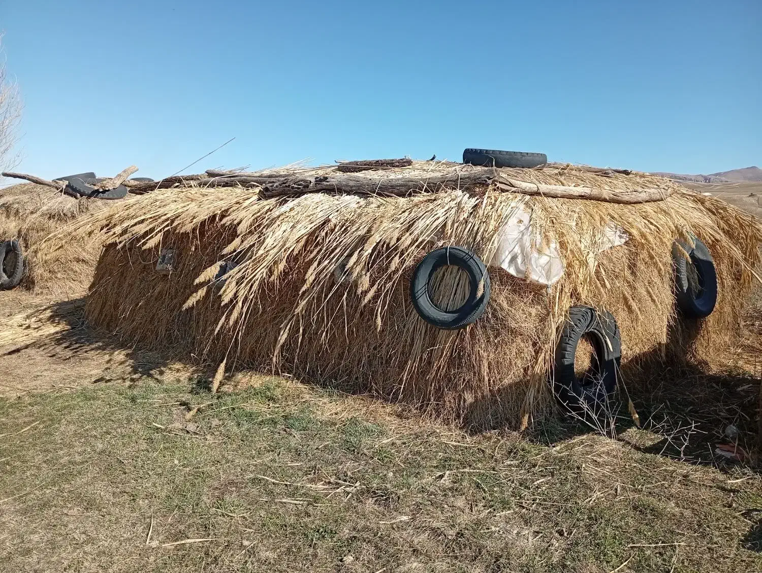 گاوگوسفند|لوازم جانبی حیوانات|سیلوانه, |دیوار