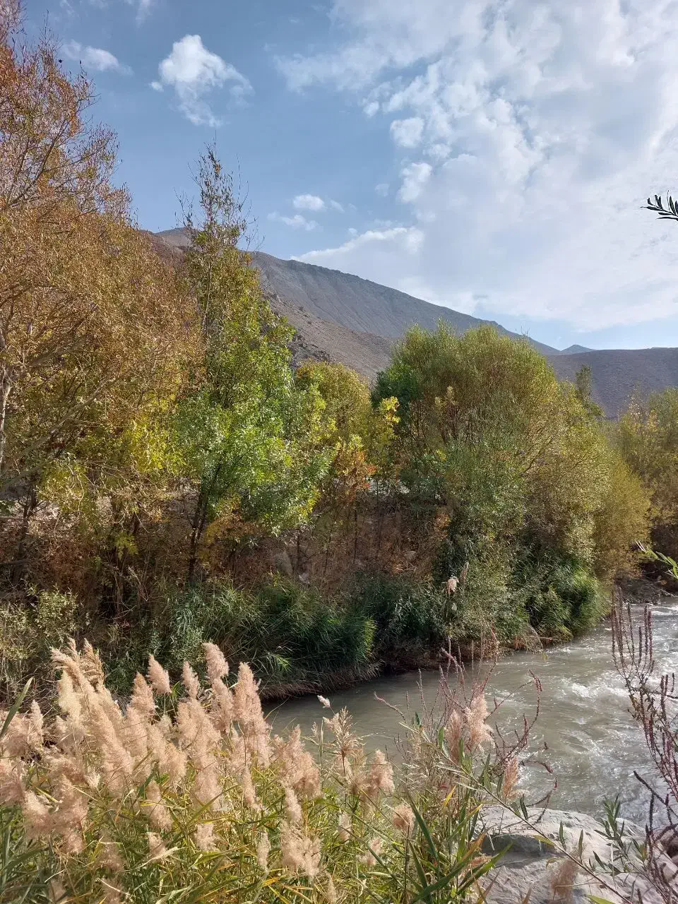 معاوضه باغ در فیروزکوه با آپارتمان یا خودرو|فروش زمین و ملک کلنگی|فیروزکوه, |دیوار