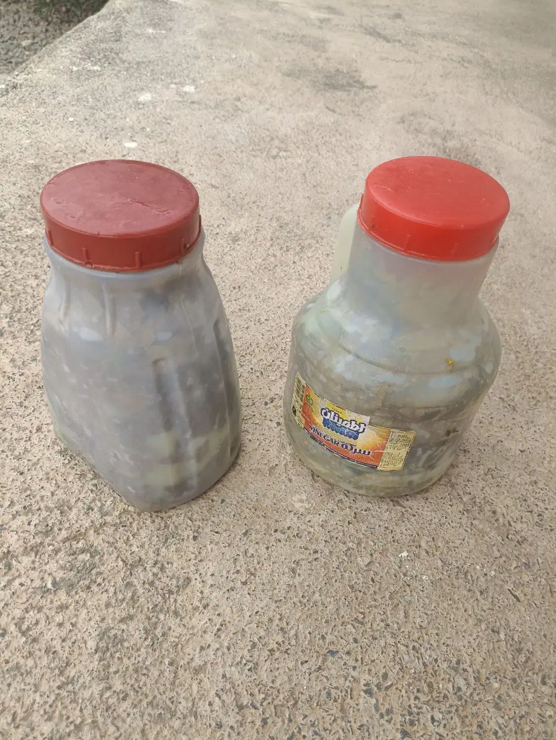 گلا شوراب|خوردنی و آشامیدنی|مهاباد (آذربایجان غربی), |دیوار