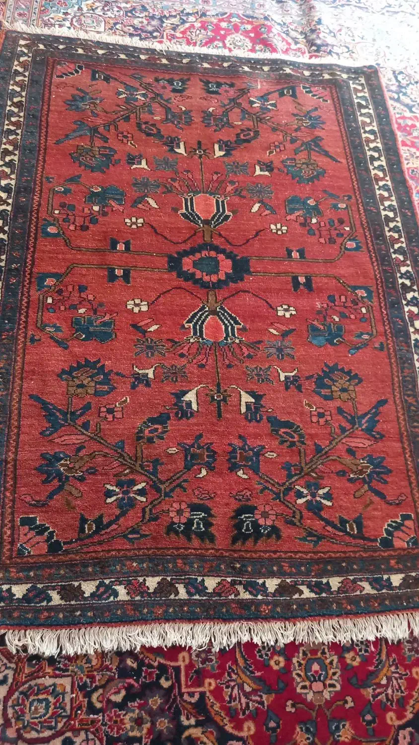 فرش دستباف قدیمی|فرش|کرج, حصار|دیوار