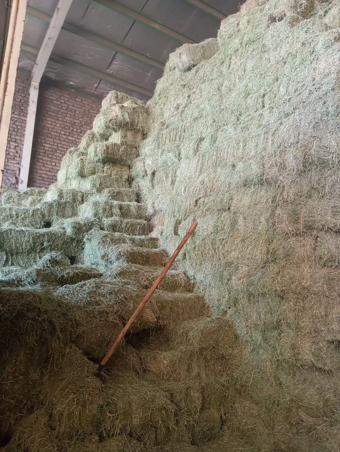 یونجه|عمده‌فروشی|مشهد, حرم مطهر رضوی|دیوار