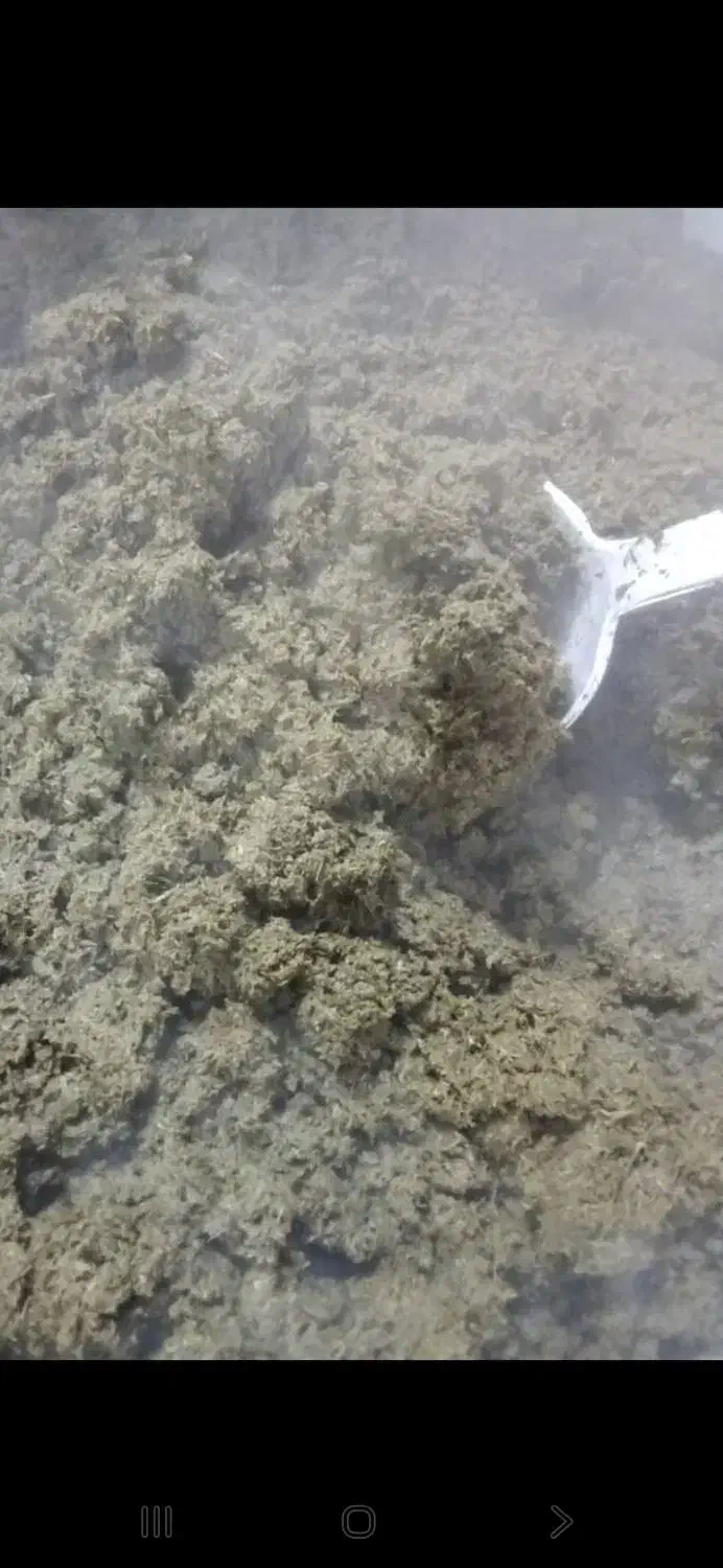 سبزی رامهرمز|خوردنی و آشامیدنی|تهران, ازگل|دیوار