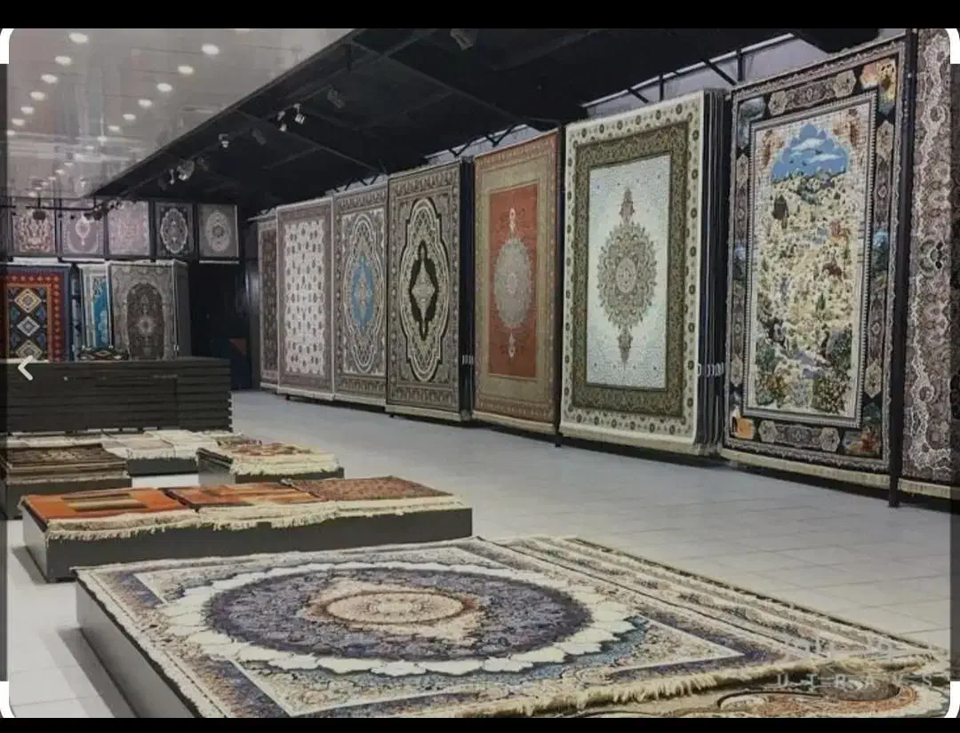 فرش ماشینی با طرح‌های متنوع برای هر سبک دکوراسیون|فرش|بوشهر, |دیوار