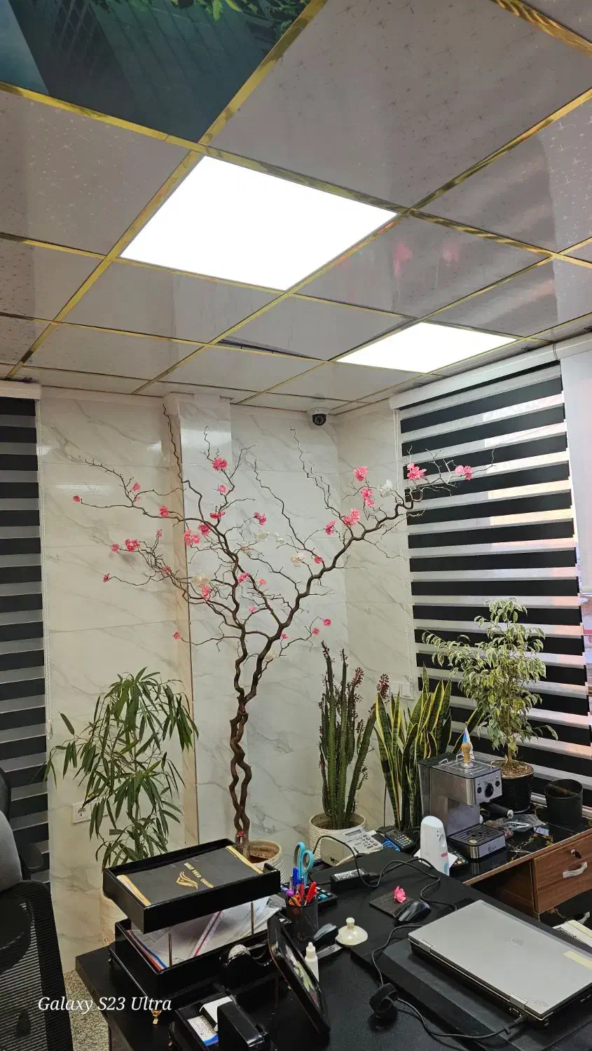 پنل سقفی مهتابی /آفتابی و مهتابی|لامپ و چراغ|پرند, فاز ۲|دیوار