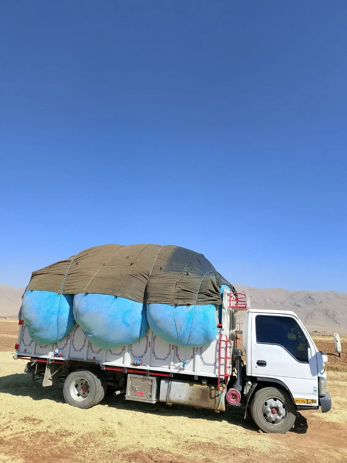 عمده فروشی|عمدهفروشی|سده (فارس), |دیوار