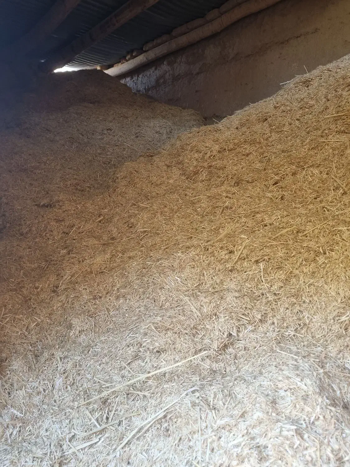 کاه کمباین کوب گندم|حیوانات مزرعه|اسفراین, |دیوار