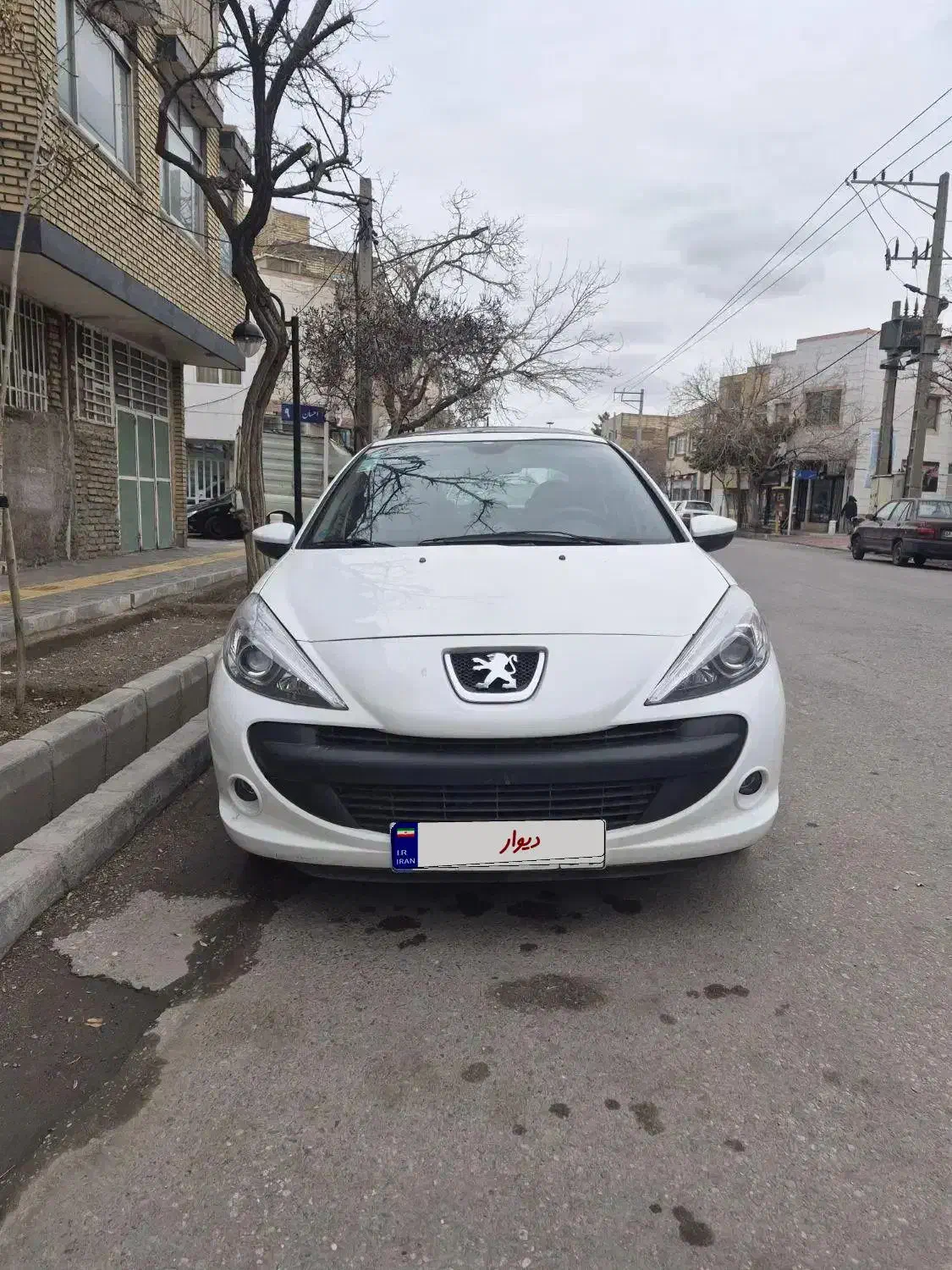 ۲۰۷ پانا ارتقا مدل۱۴۰۳|خودرو سواری و وانت|مشهد, کوشش|دیوار