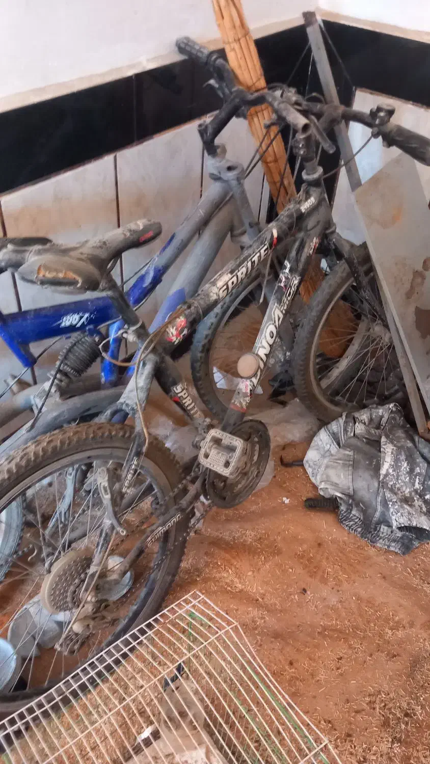 دوعدد دوچرخه ۲۴|دوچرخه، اسکیت، اسکوتر|نگین شهر, |دیوار