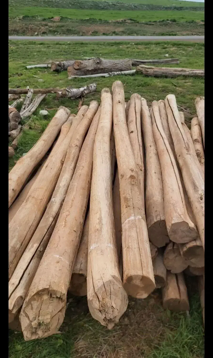 چوب فروشی و مرکز جمع آوری انواع چوب|عمده‌فروشی|سنقر, |دیوار