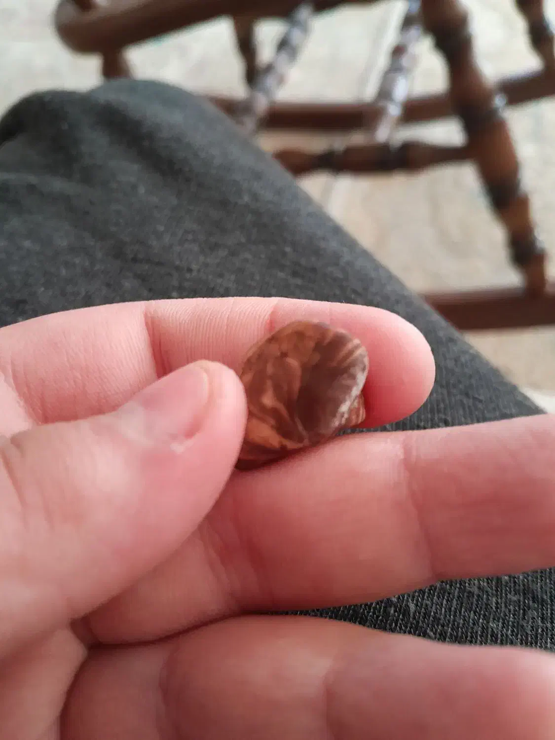 سنگ زیبا|کلکسیون اشیاء عتیقه|قم, باغ کرباسی|دیوار