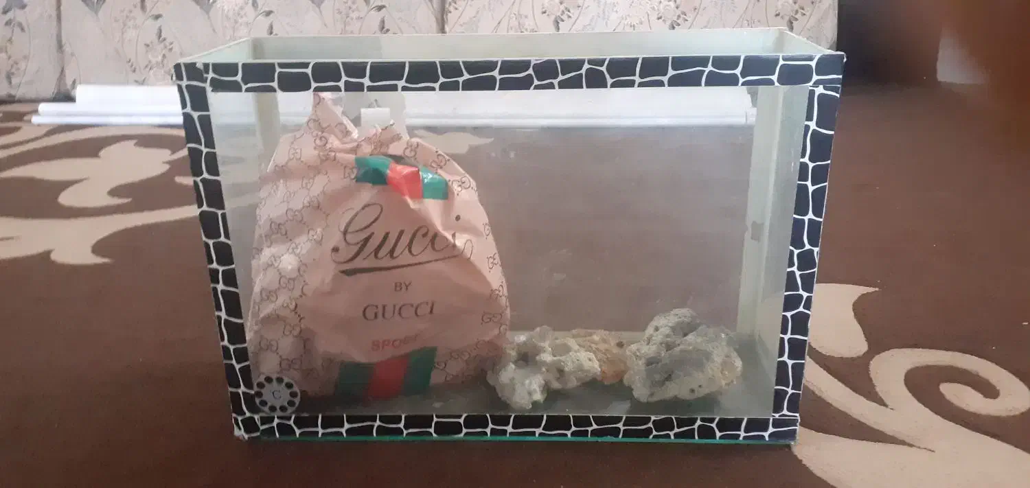 اکواریوم تمیز حرفه ای|ماهی|خرمآباد, |دیوار