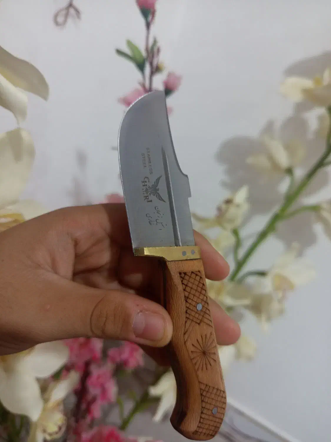 چاقو|کوهنوردی و کمپینگ|بیجار, |دیوار