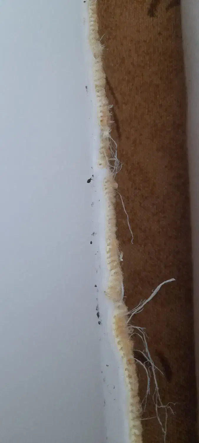 موکت پالاز|موکت|پردیس, فاز ۱۱|دیوار