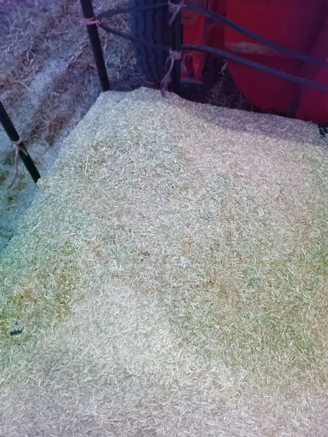 ذرت علوفه ای .کاه گندم ..کو.|خدمات باغبانی و درختکاری|دوزین, |دیوار