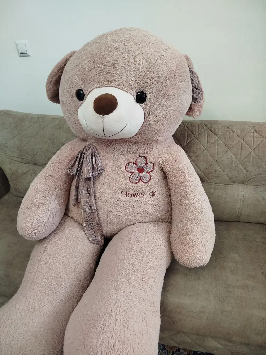 خرس بزرگ|اسباب‌‌بازی|زنجان, |دیوار