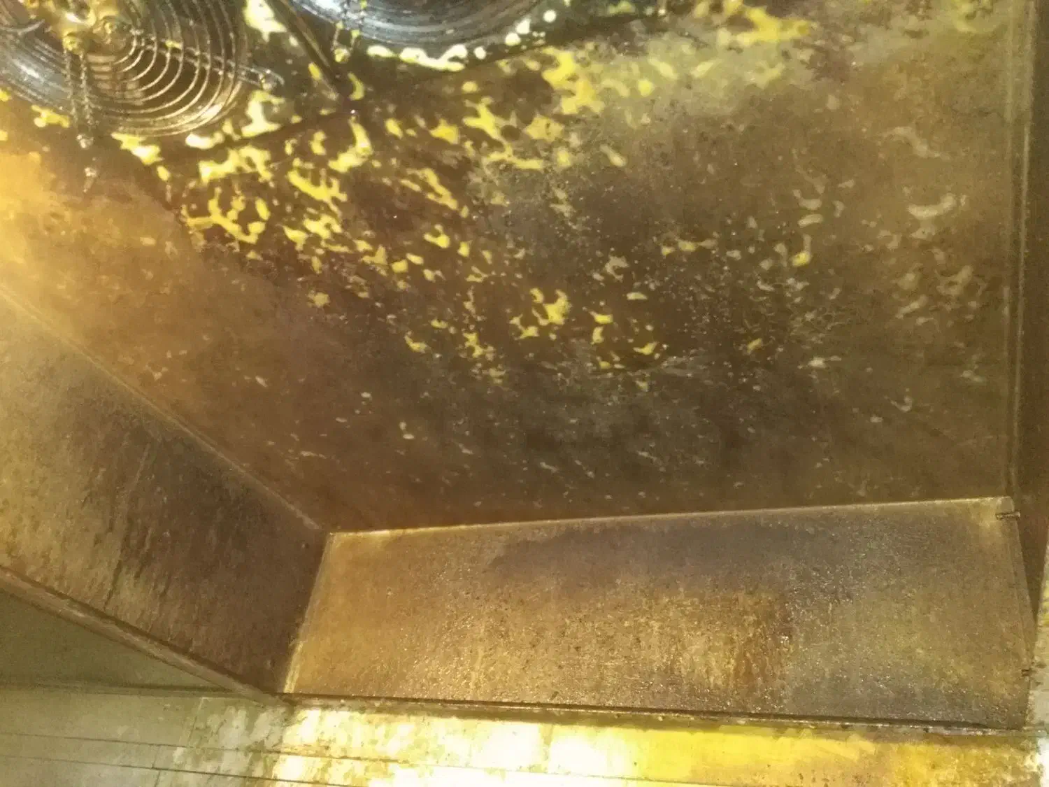 نظافتی|خدمات نظافت|ارومیه, |دیوار