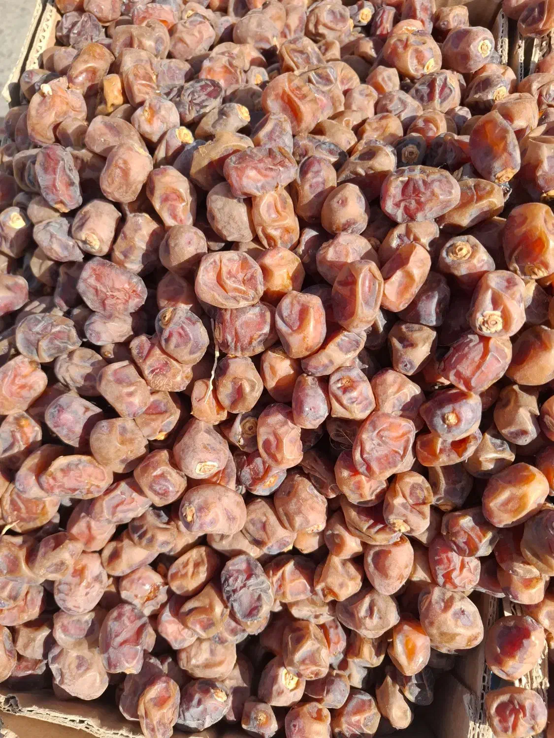 برحی درجه یک آبادان|خوردنی و آشامیدنی|تهران, عباسی|دیوار