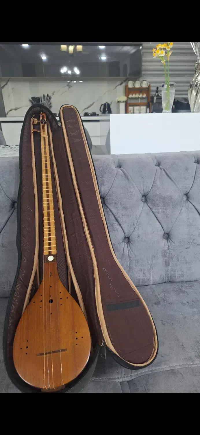 سه تار حرفه ای برند استاد نوید|سازهای سنتی|شهر بابک, |دیوار