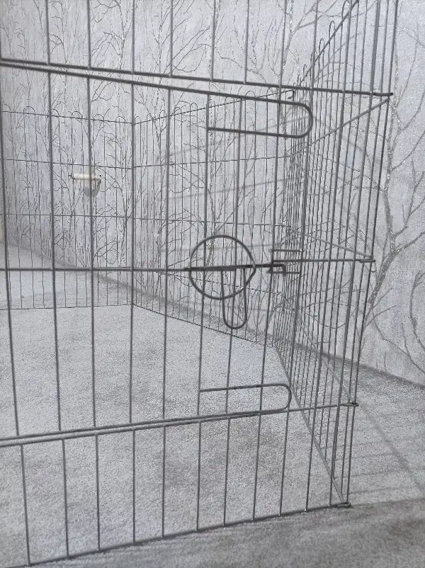 پارک سگ|لوازم جانبی حیوانات|ایلام, |دیوار