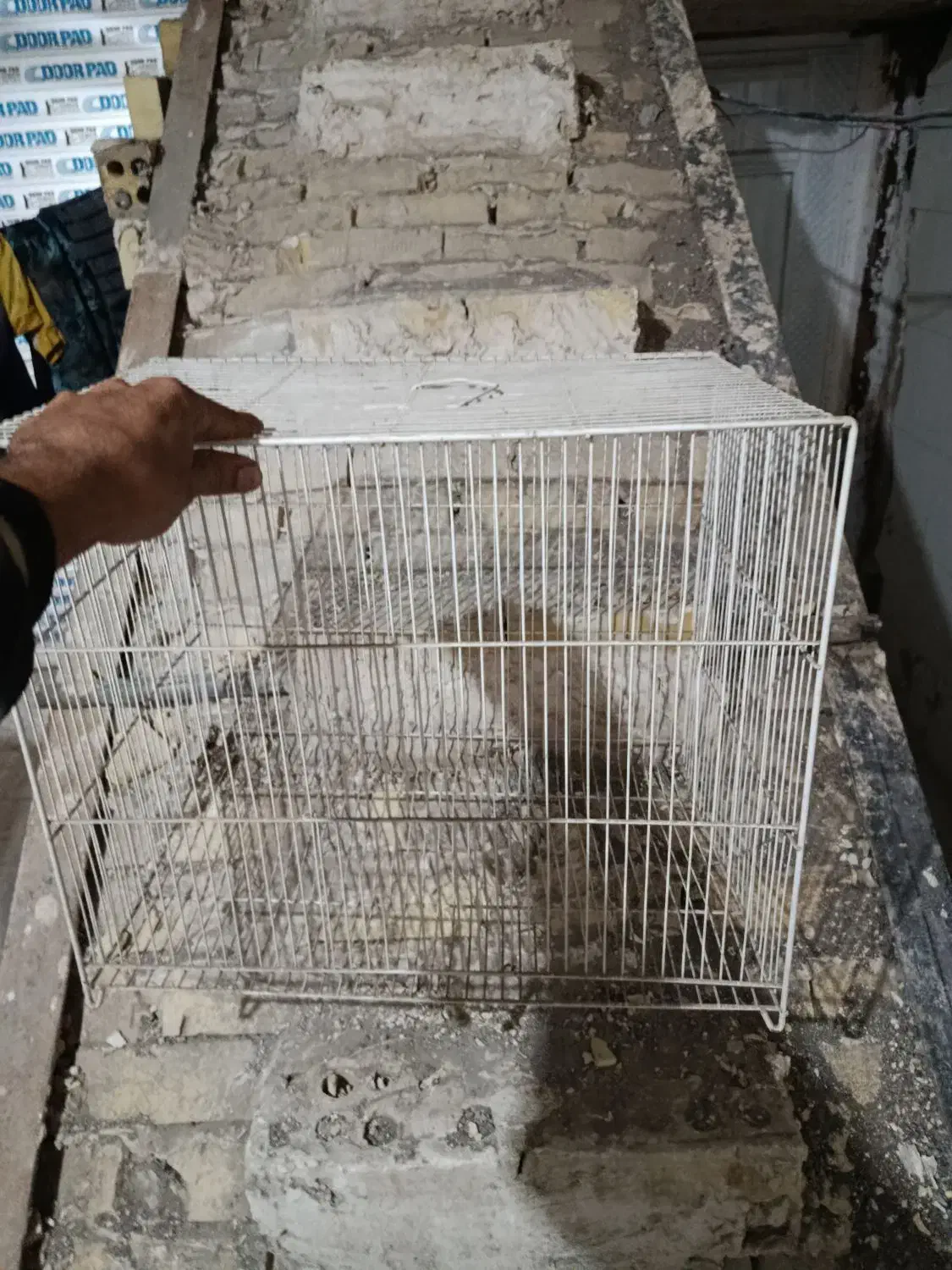 قفس پرنده|لوازم جانبی حیوانات|مشهد, پنجتن|دیوار