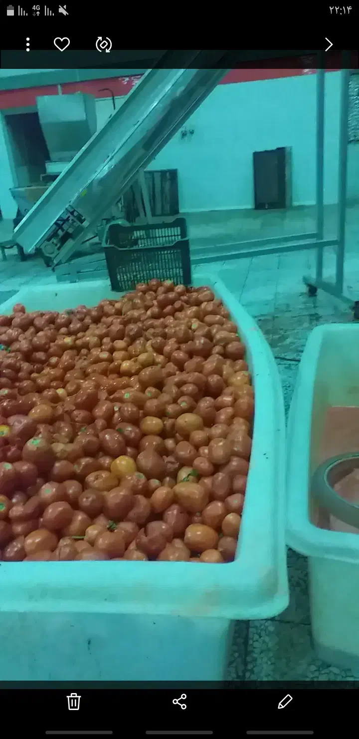 اب گیری گوجه و انگور،سیب وانار لیمو وسبزی خردکنی|خدمات پیشه و مهارت|همدان, |دیوار