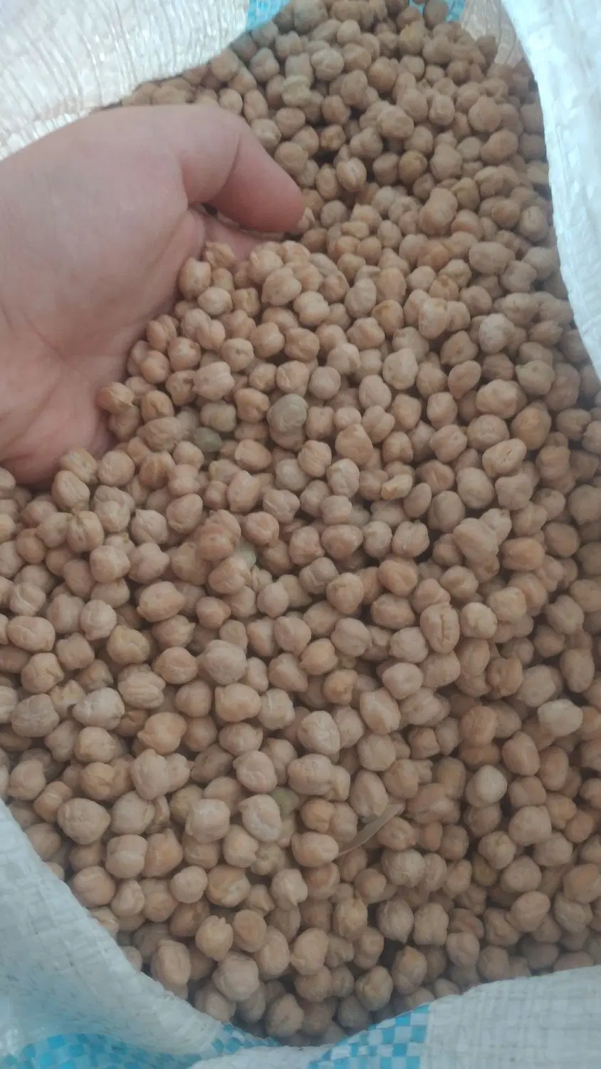 نخود|خوردنی و آشامیدنی|دزفول, |دیوار