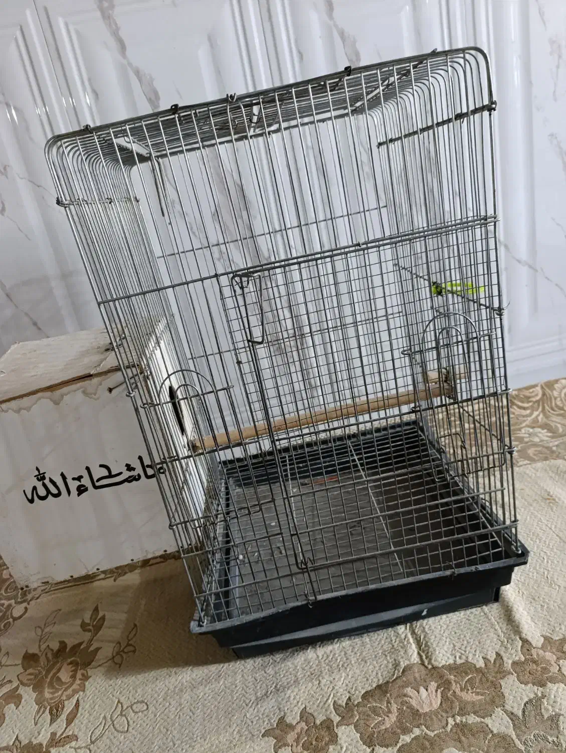 قفس|لوازم جانبی حیوانات|ایرانشهر, |دیوار
