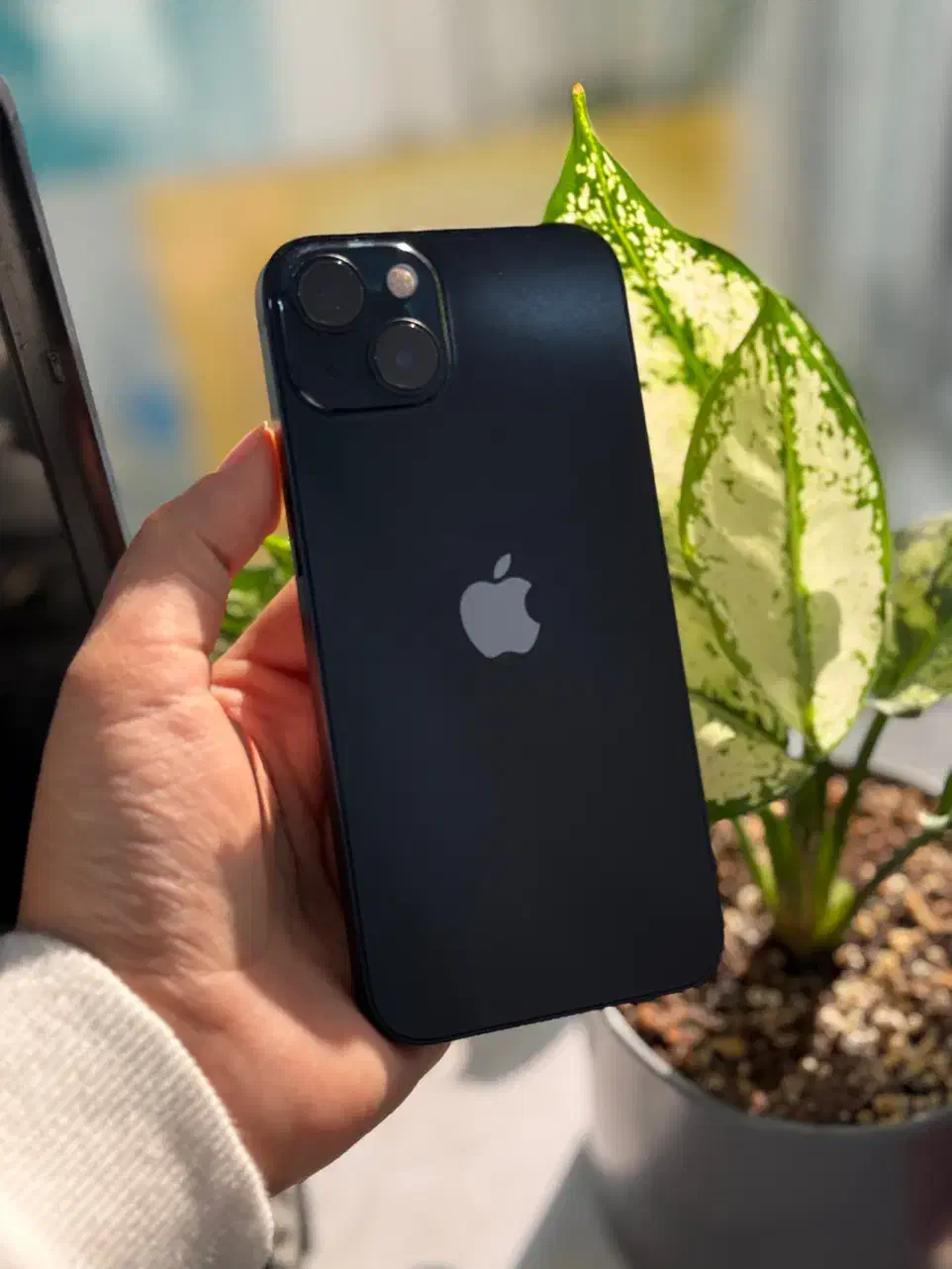 آیفون ۱۳ نرمال|موبایل|اهواز, نادری|دیوار