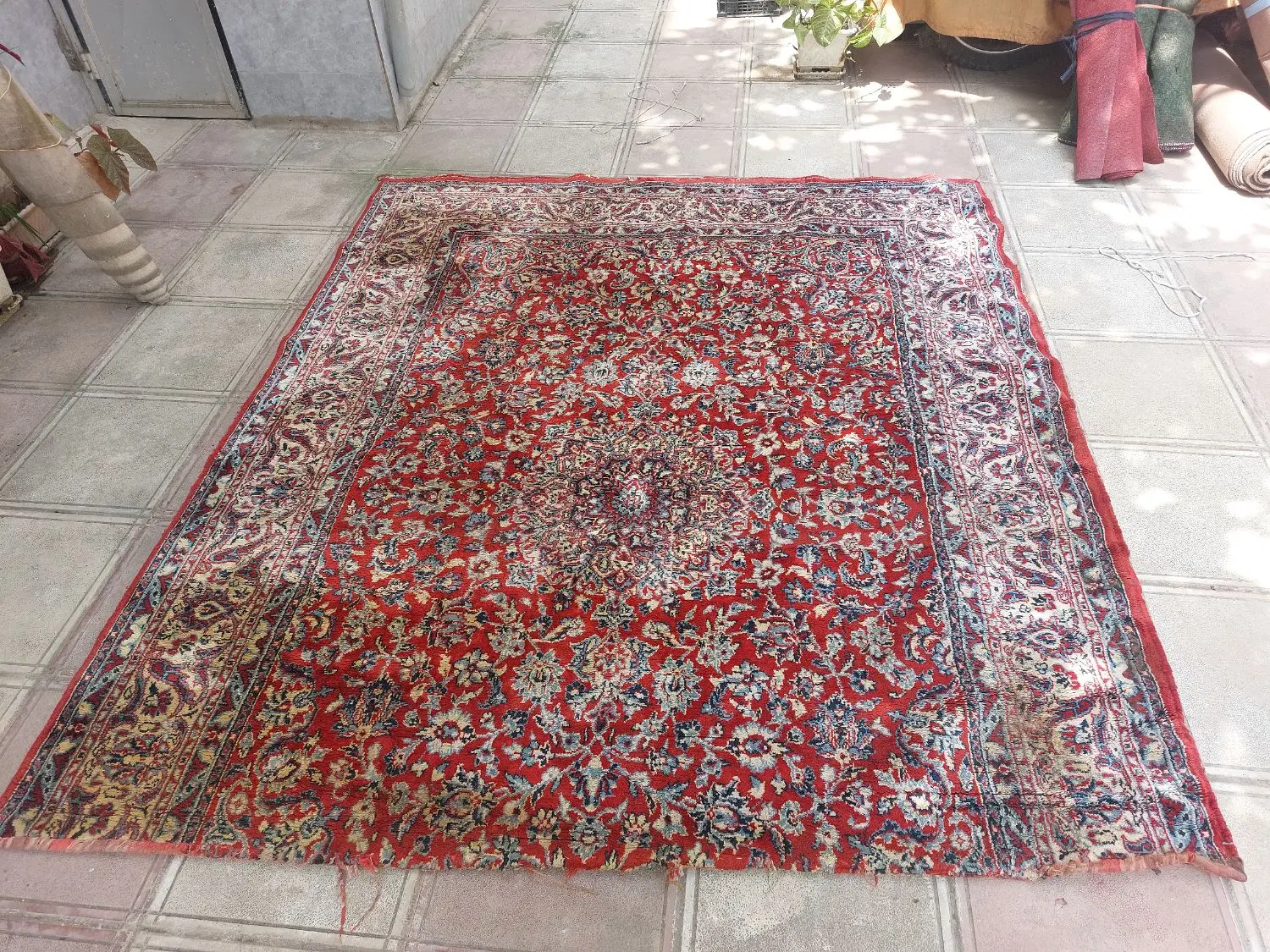 فرش|فرش|گرگان, |دیوار