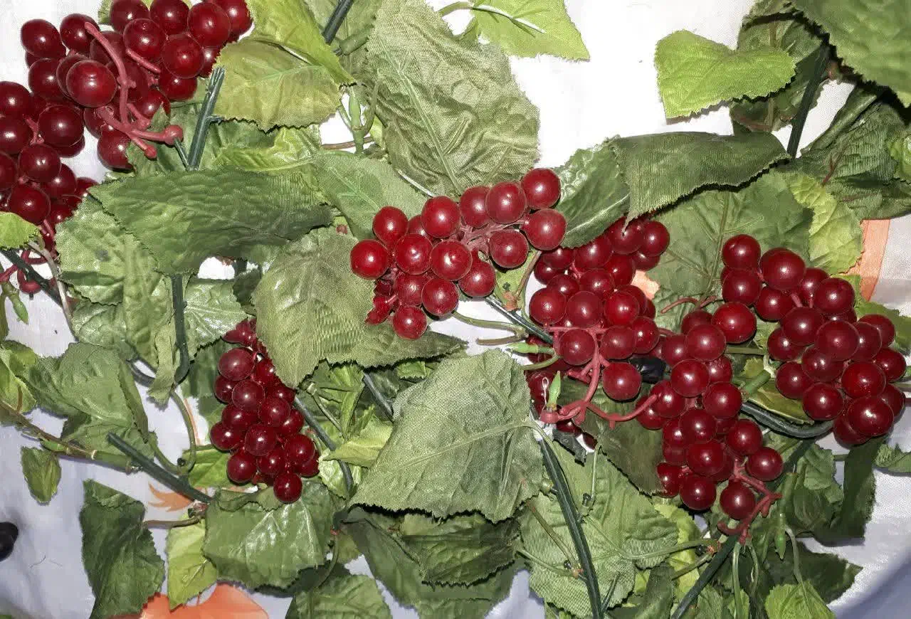 گل و میوه مصنوعی متنوع|گل مصنوعی|دماوند, گیلاوند|دیوار