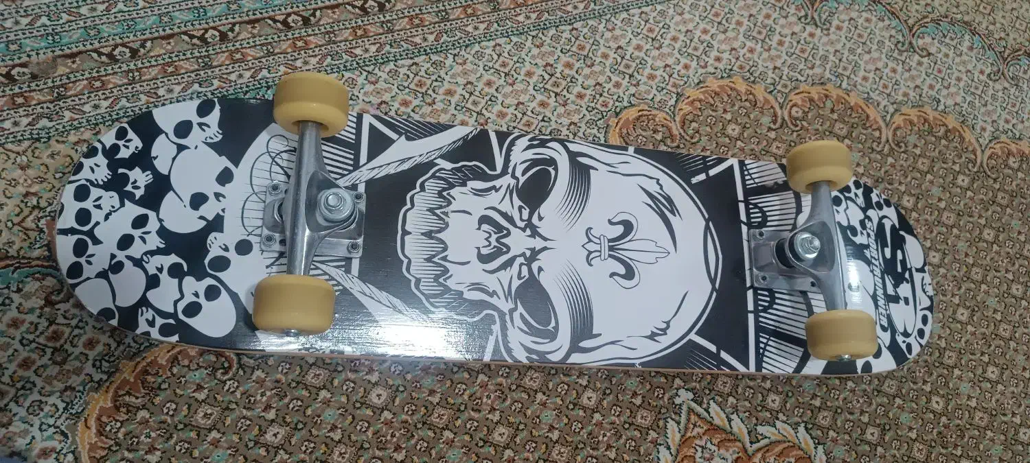 فروش اسکیت برد سالم بدون حتی یک بار استفاده|دوچرخه، اسکیت، اسکوتر|شیراز, درکی|دیوار