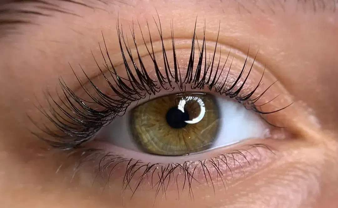 کراتین و احیا ،اکستنشن مو ،لیفت مژه و ابرو|خدمات آرایشگری و زیبایی|اردبیل, |دیوار