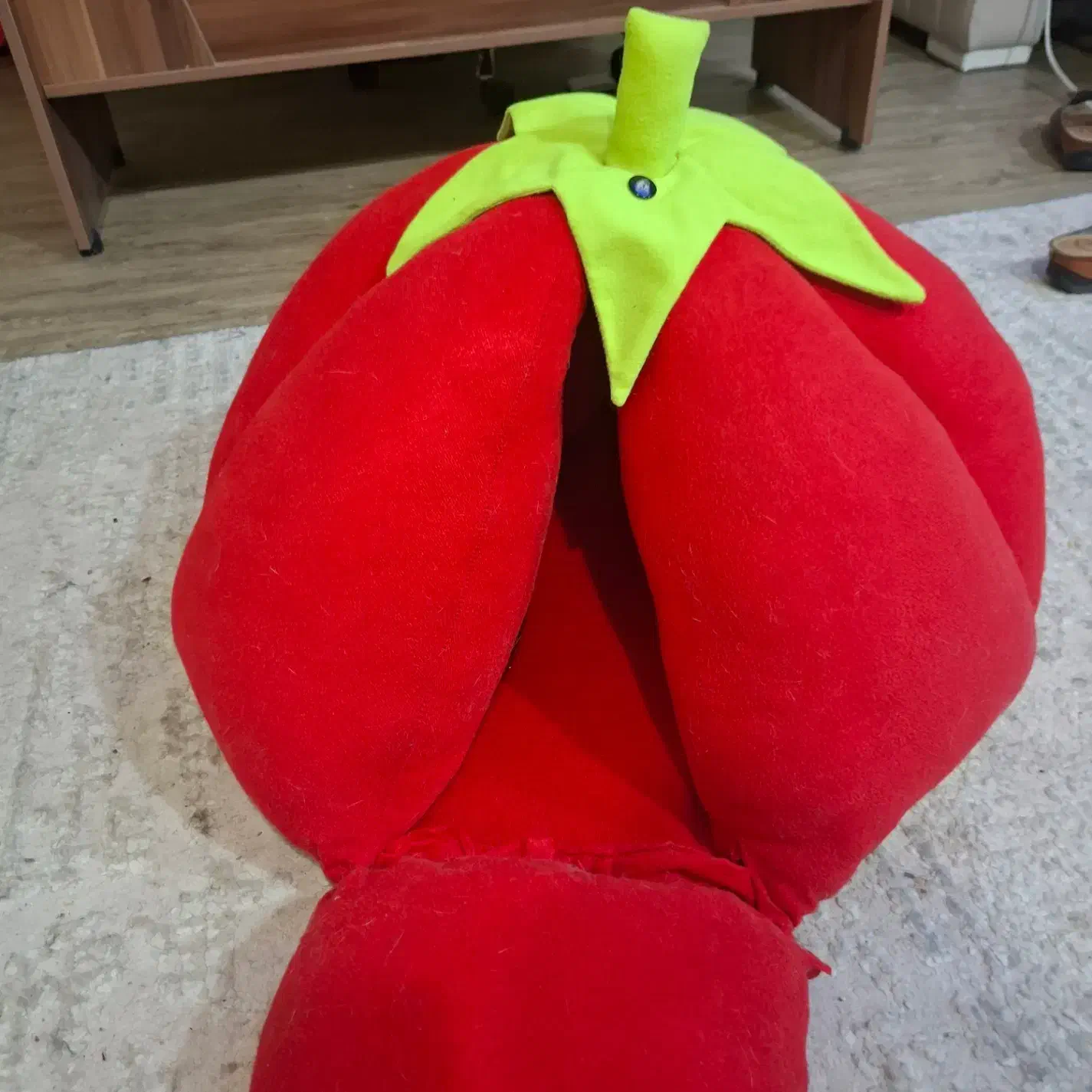 خونه گربه گوجه ای|لوازم جانبی حیوانات|مشهد, چهارچشمه|دیوار